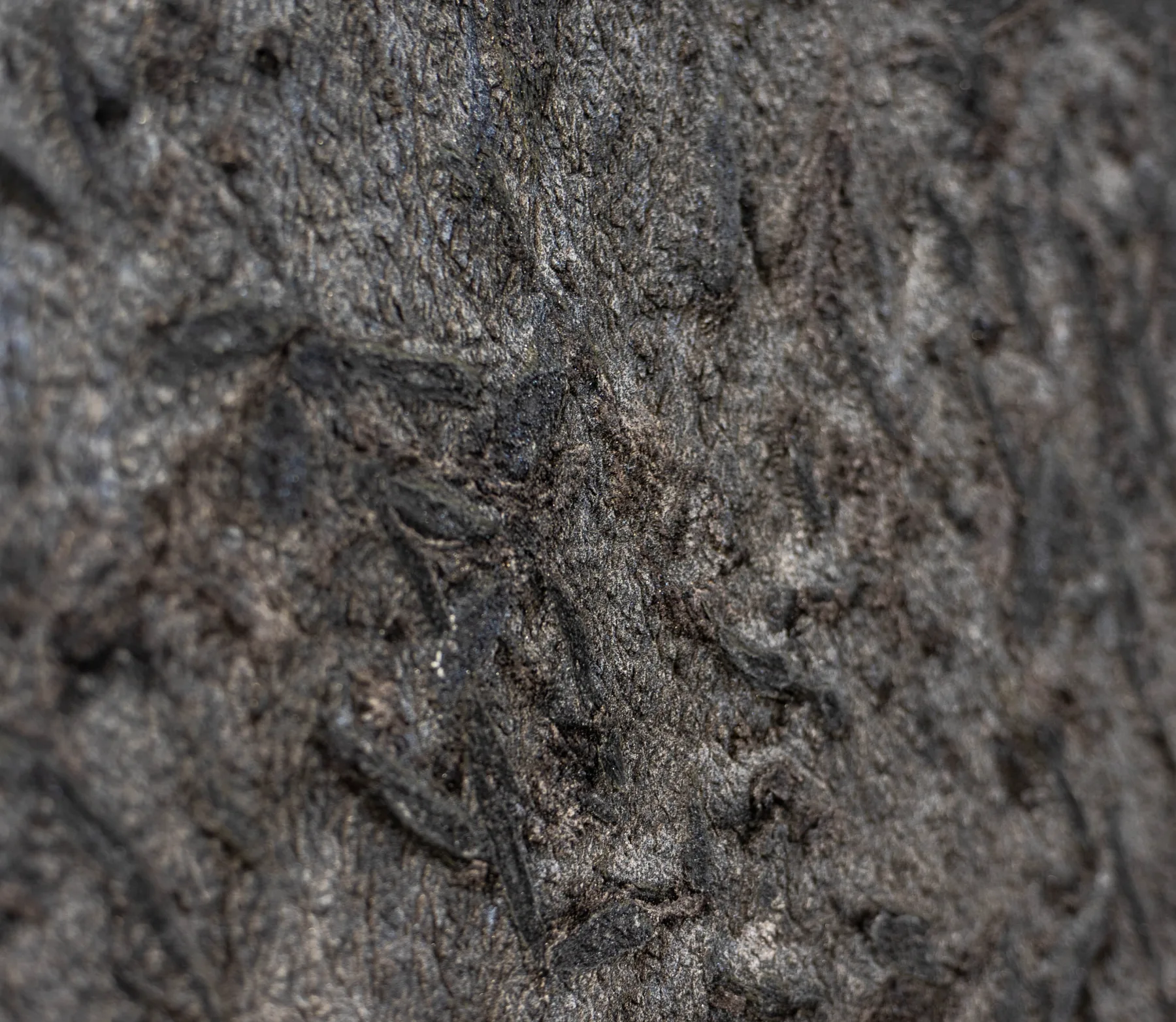 MATRIX - GRANIT - Płyta 1