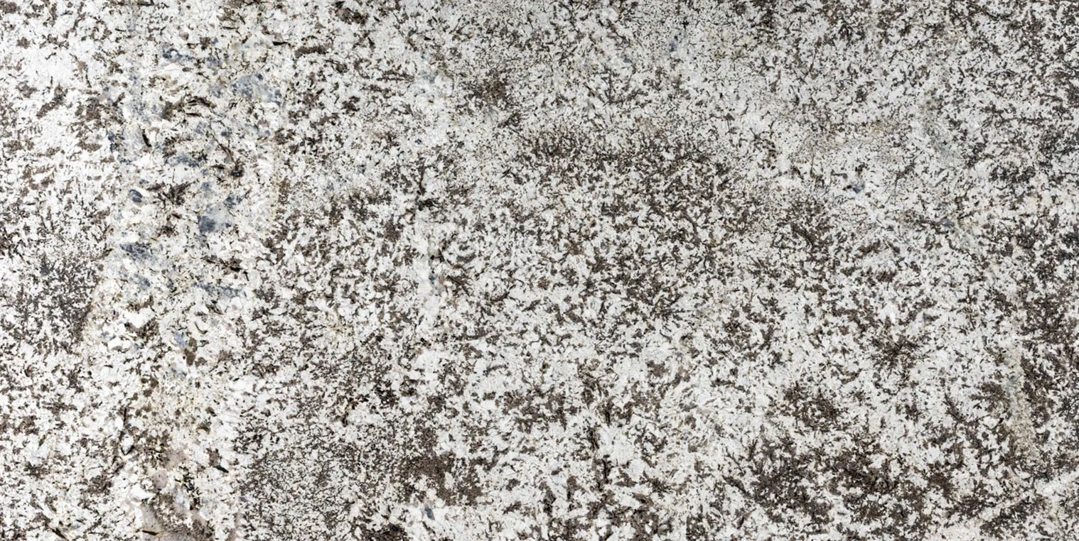 SIBERIAN WHITE - GRANIT - Płyta 1